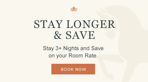 Limited Time Only